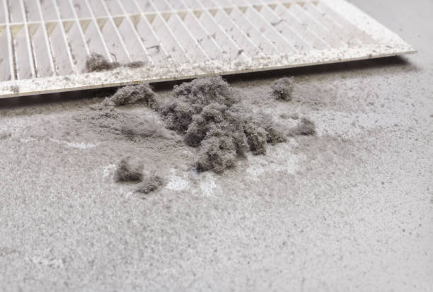 HVAC Maintenance and Cleaning in WA