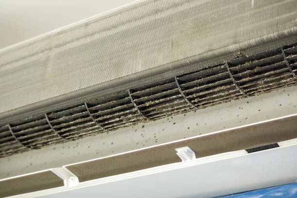 Best Commercial Air Duct Cleaning  in Woodland, WA
